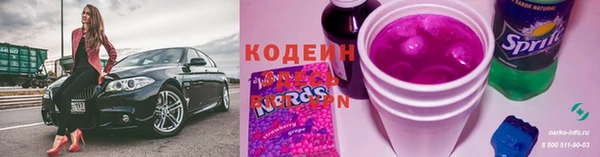 прущие грибы Гусь-Хрустальный