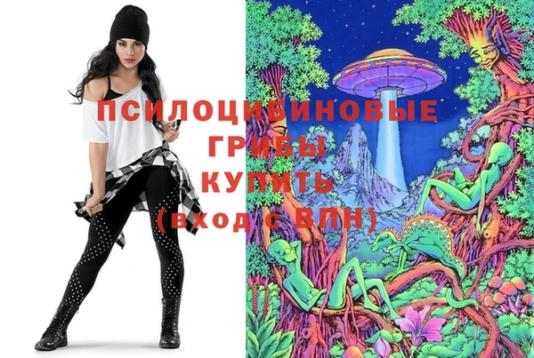 mix Гусиноозёрск