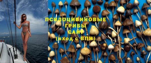 mix Гусиноозёрск