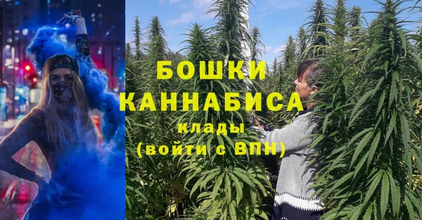 гидропоника Гусев