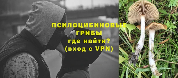 гидропоника Гусев