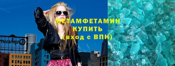 прущие грибы Гусь-Хрустальный