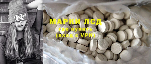 прущие грибы Гусь-Хрустальный
