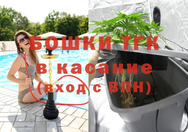 прущие грибы Гусь-Хрустальный