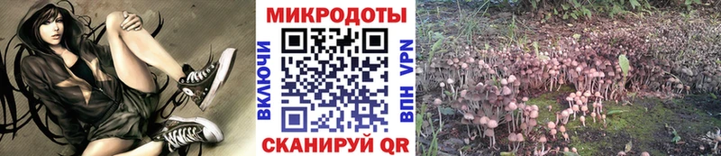 Псилоцибиновые грибы Psilocybine cubensis  Минеральные Воды 