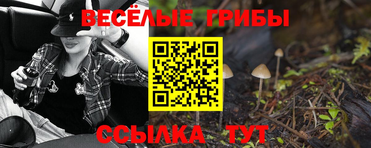 Галлюциногенные грибы ЛСД Минеральные Воды