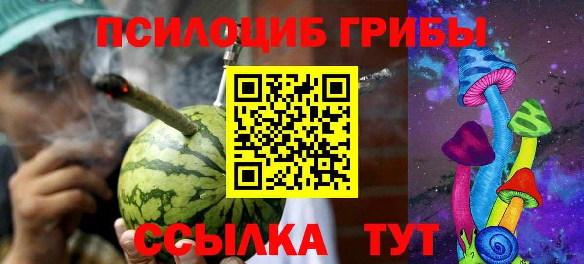 Минеральные Воды  Псилоцибиновые грибы Psilocybe  Псилоцибиновые грибы Psilocybine cubensis  Вход с VPN 